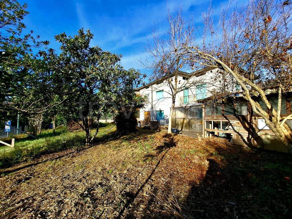 immagine annuncio 2 di 14