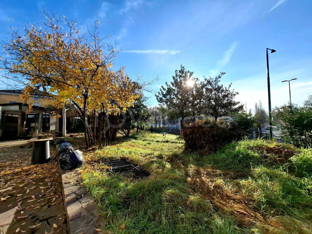 immagine annuncio 6 di 14