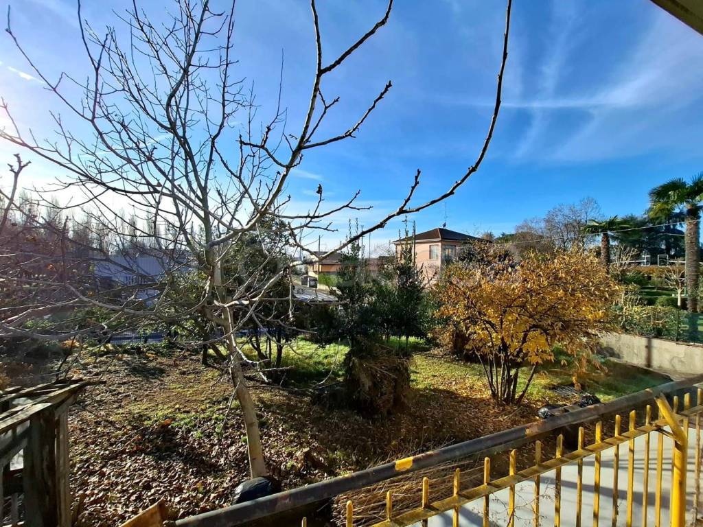 immagine annuncio 10 di 14