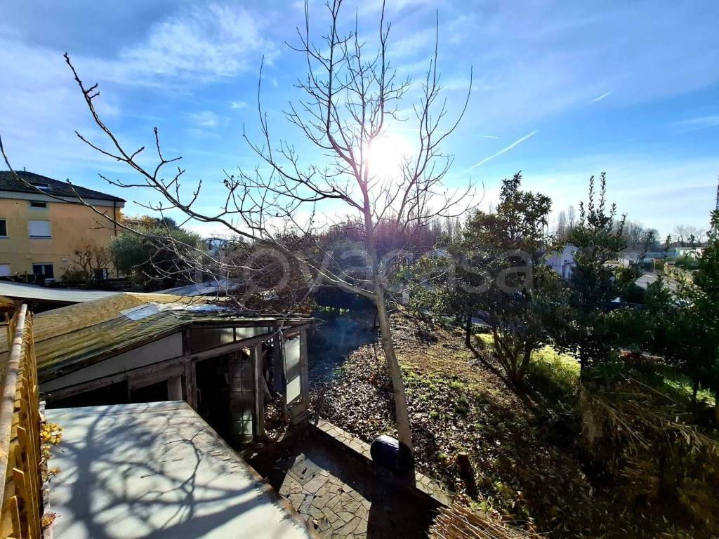 immagine annuncio 11 di 14