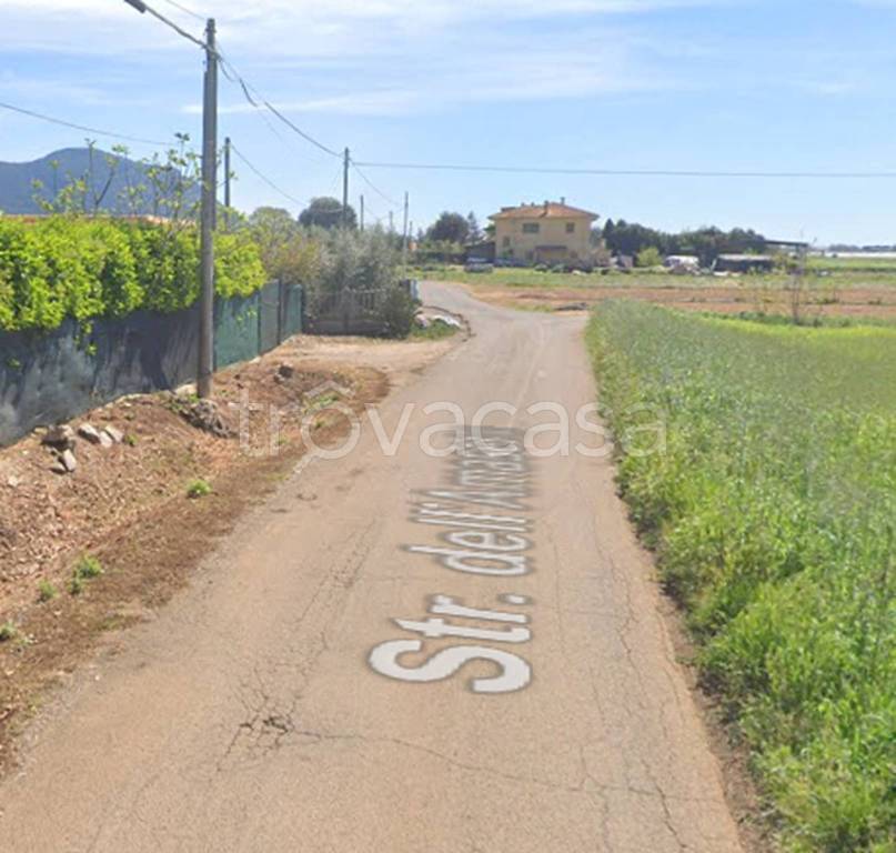 immagine annuncio 10 di 13