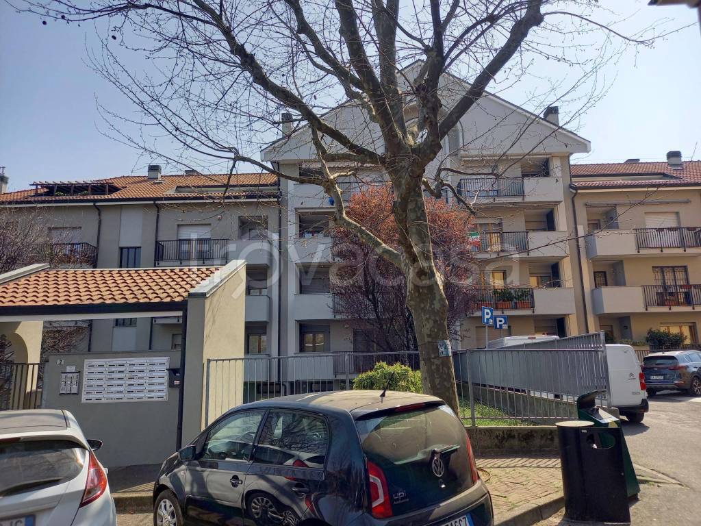 immagine annuncio 8 di 11