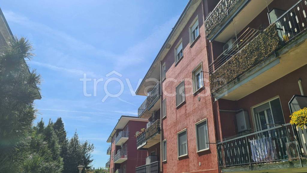 immagine annuncio 12 di 13