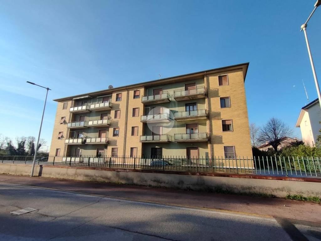 immagine annuncio 10 di 14