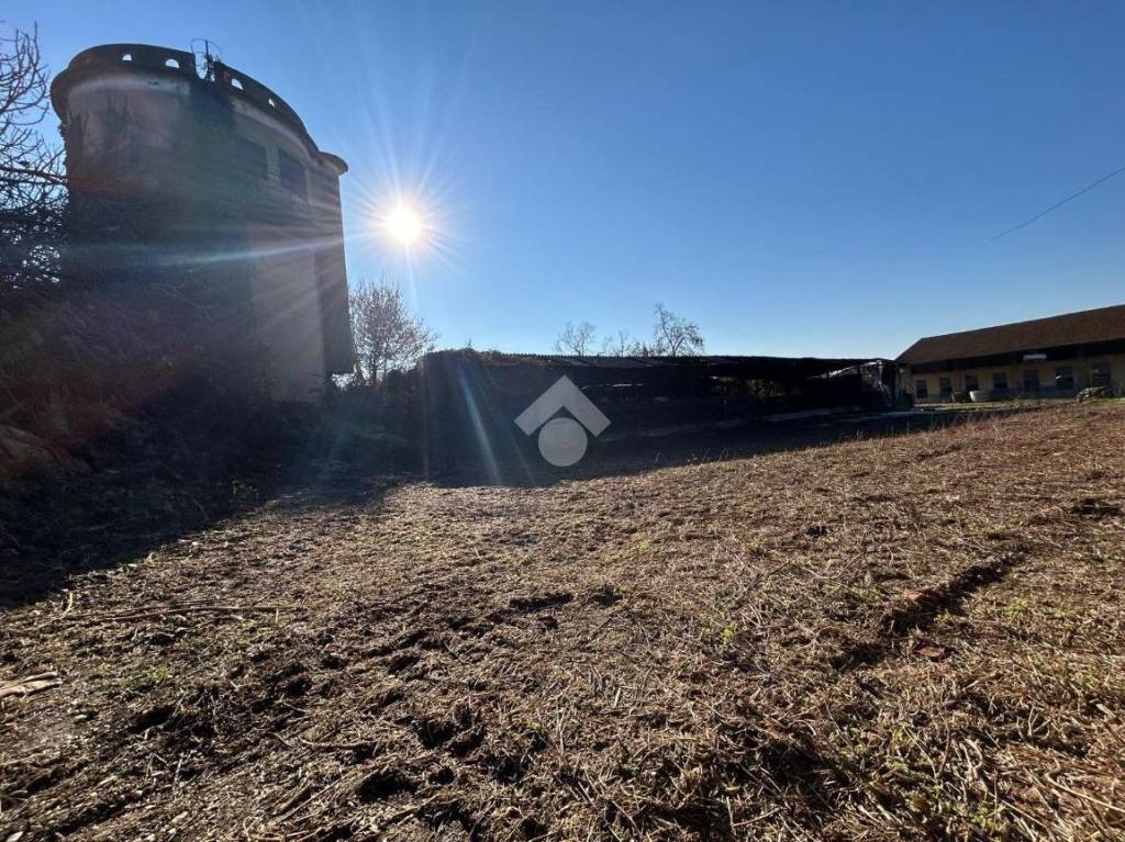 immagine annuncio 5 di 10