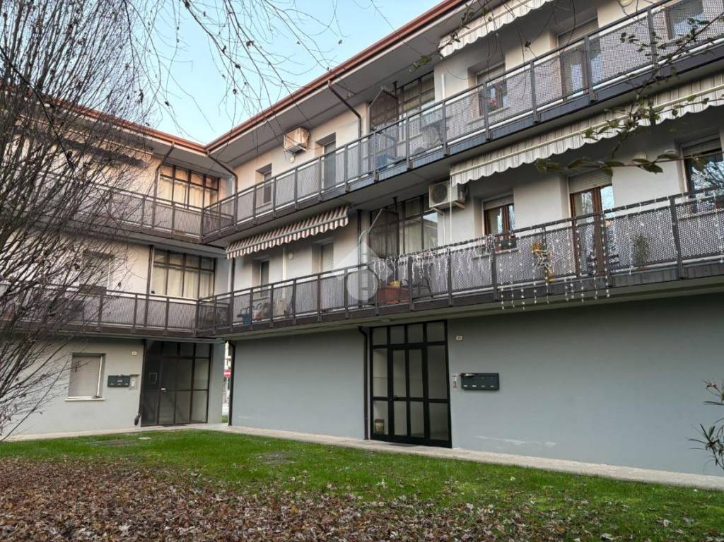 immagine annuncio 1 di 13