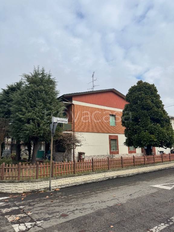 immagine annuncio 3 di 14