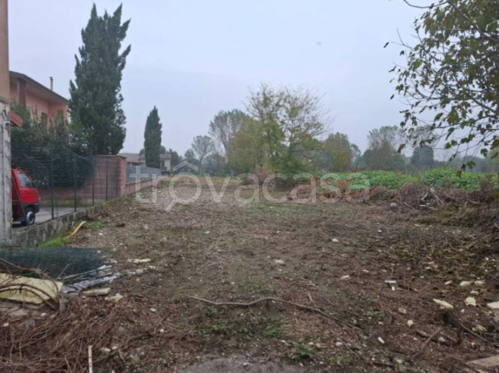 immagine annuncio 4 di 14