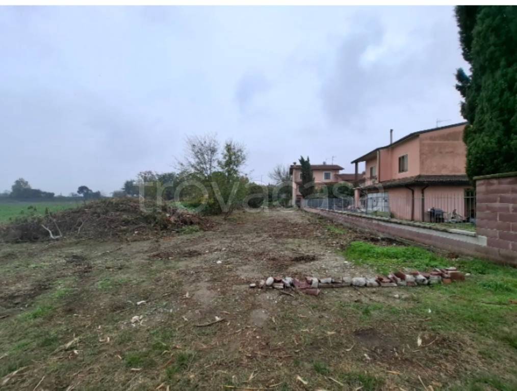 immagine annuncio 8 di 14