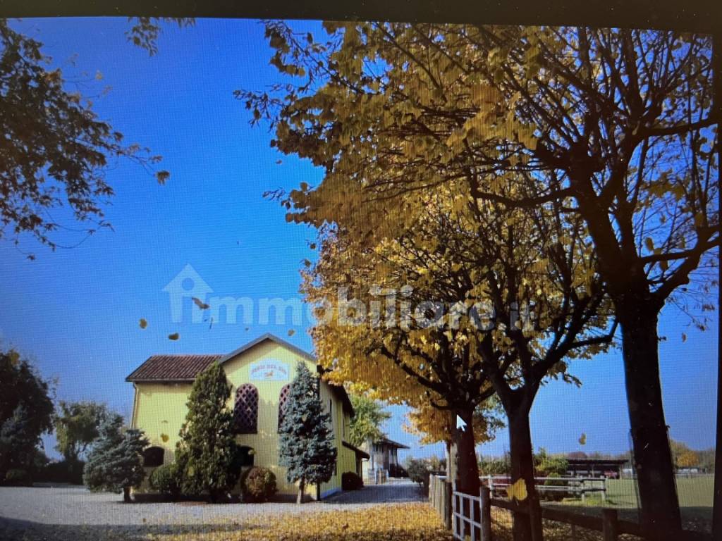 immagine annuncio 2 di 13