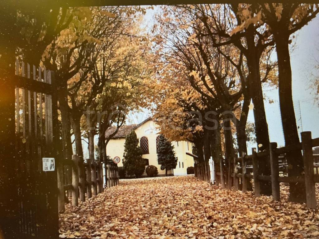 immagine annuncio 3 di 13