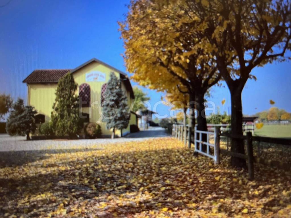 immagine annuncio 12 di 13