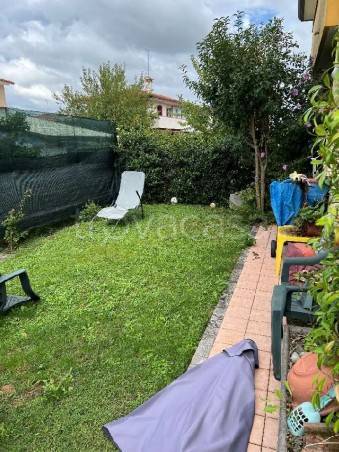 immagine annuncio 5 di 14