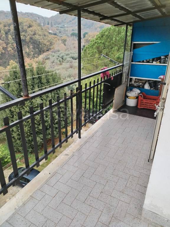 immagine annuncio 3 di 14