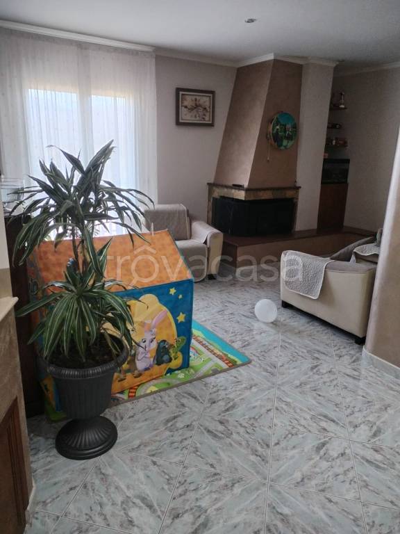 immagine annuncio 6 di 14