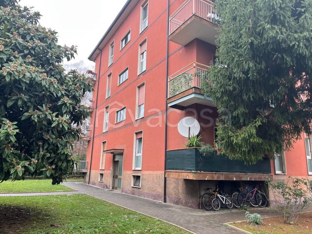 immagine annuncio 1 di 15