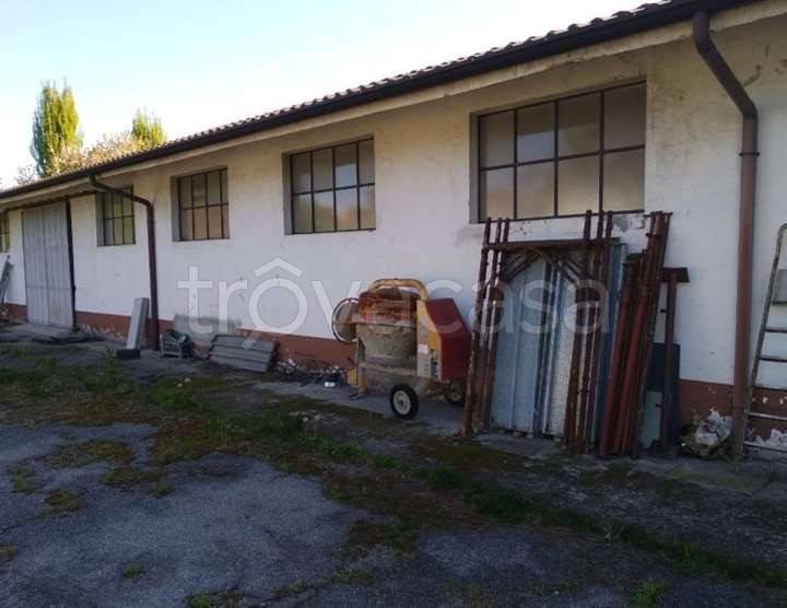 immagine annuncio 4 di 11