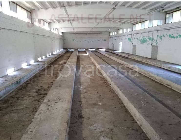 immagine annuncio 9 di 11