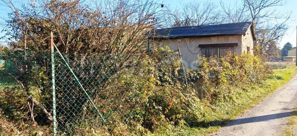 immagine annuncio 2 di 15