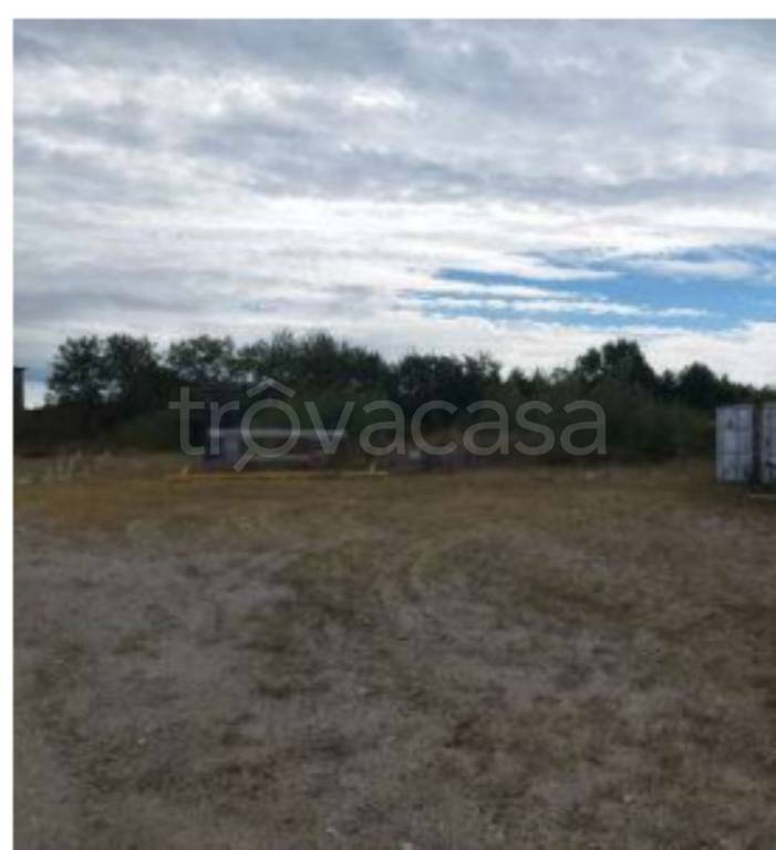 immagine annuncio 5 di 10