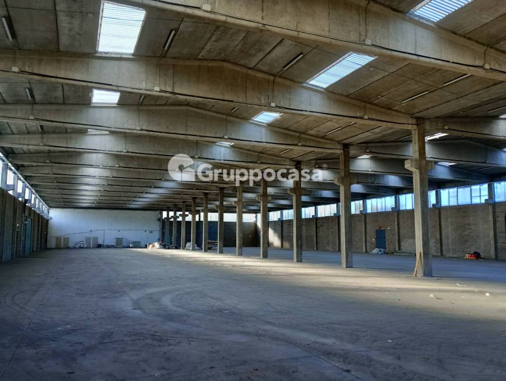 immagine annuncio 4 di 12