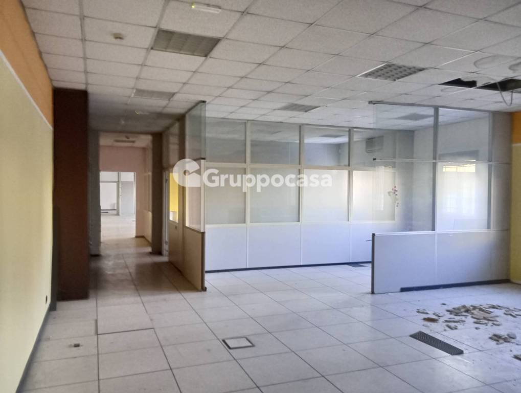 immagine annuncio 5 di 12