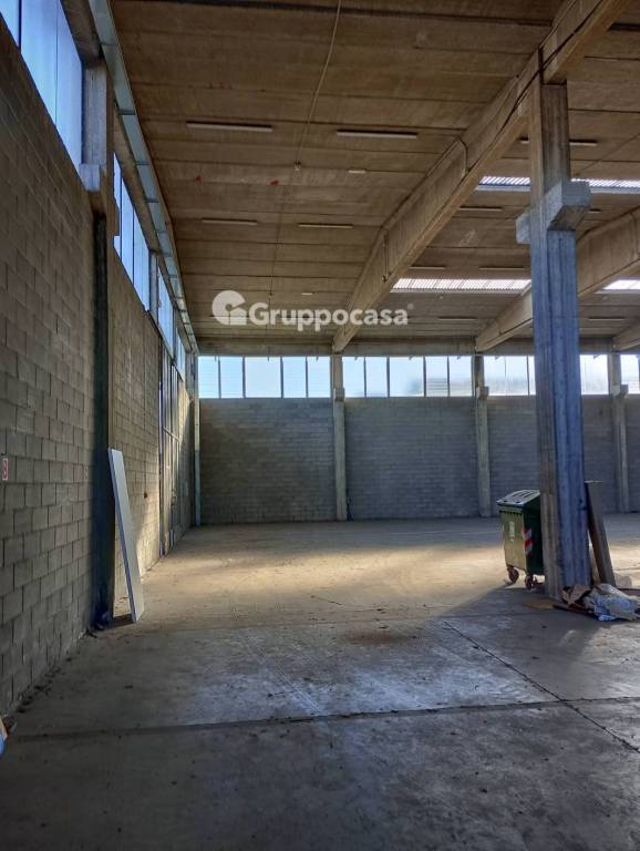 immagine annuncio 7 di 12