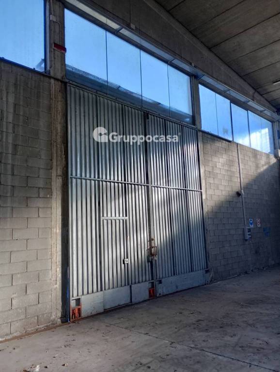 immagine annuncio 8 di 12