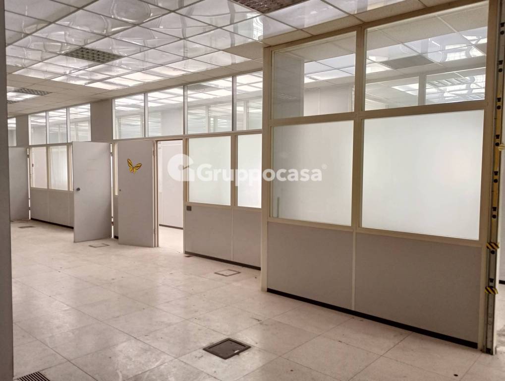 immagine annuncio 9 di 12