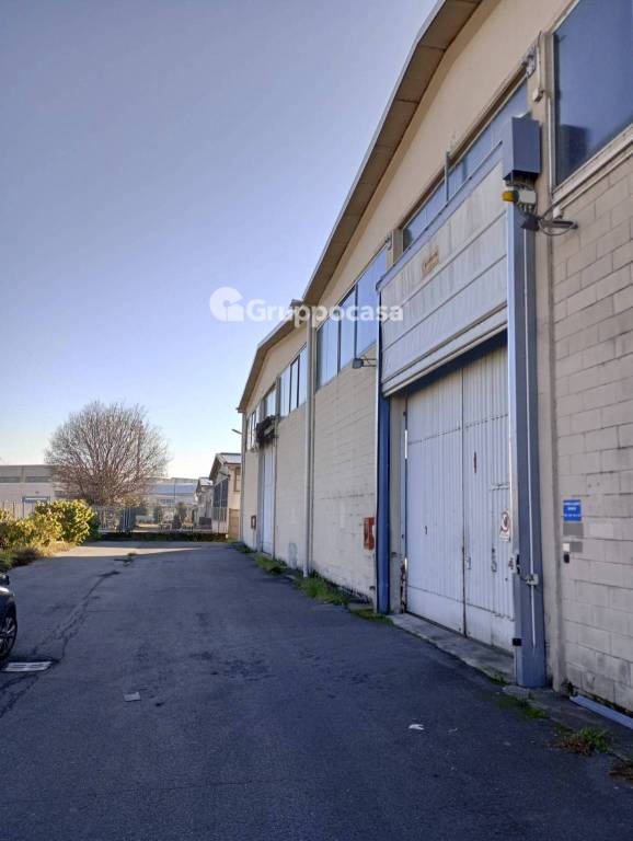 immagine annuncio 11 di 12