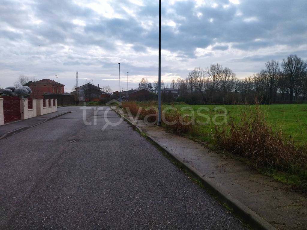 immagine annuncio 6 di 11