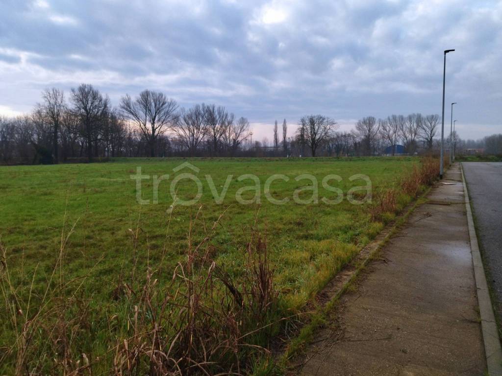 immagine annuncio 8 di 11