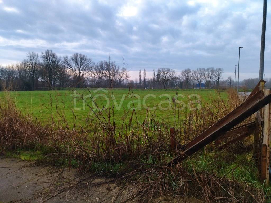 immagine annuncio 9 di 11