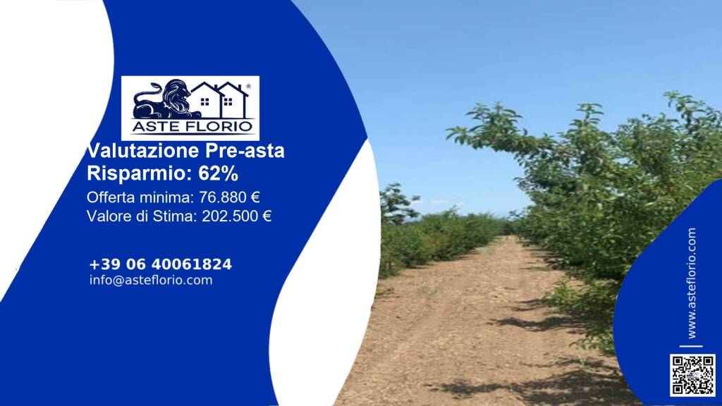 immagine annuncio 1 di 11