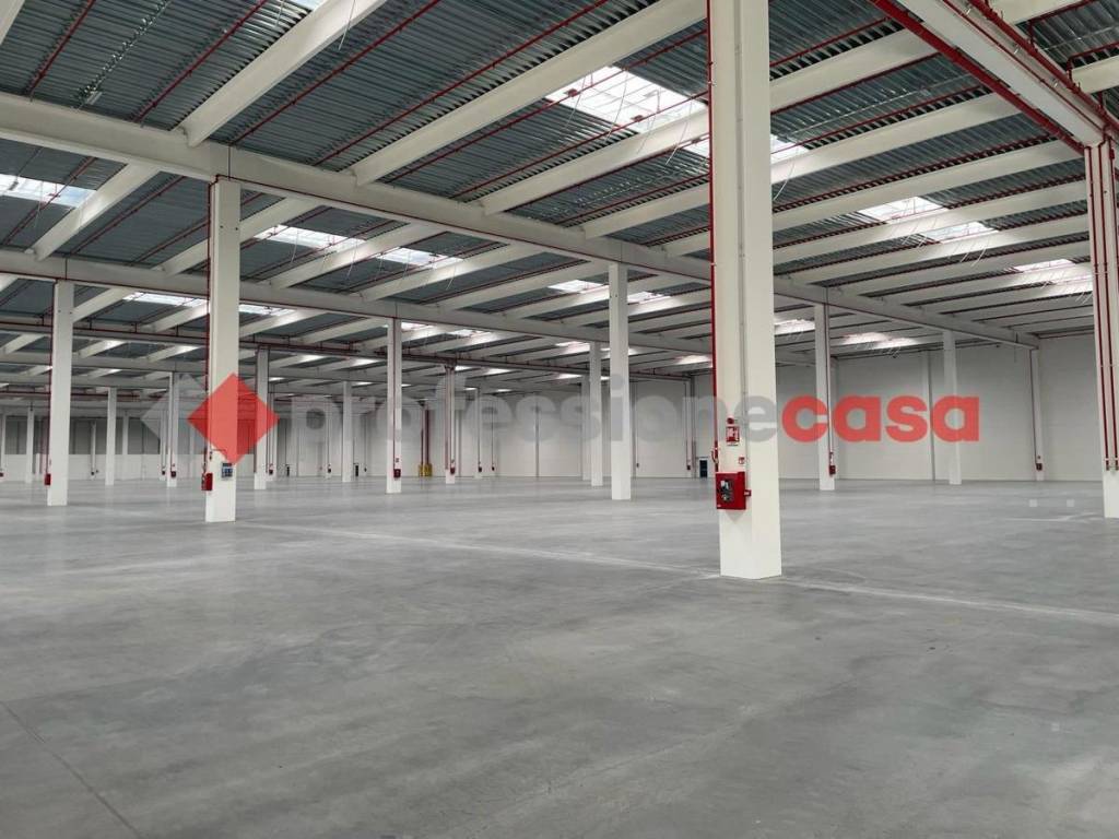 immagine annuncio 2 di 9