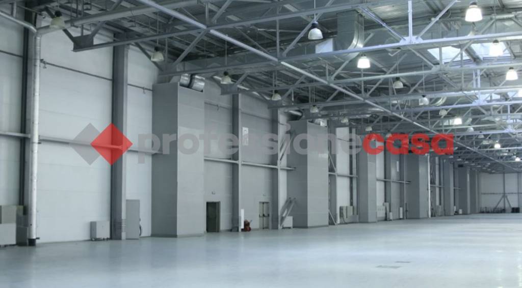 immagine annuncio 3 di 9