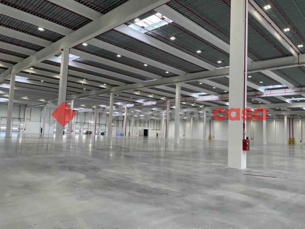 immagine annuncio 4 di 9