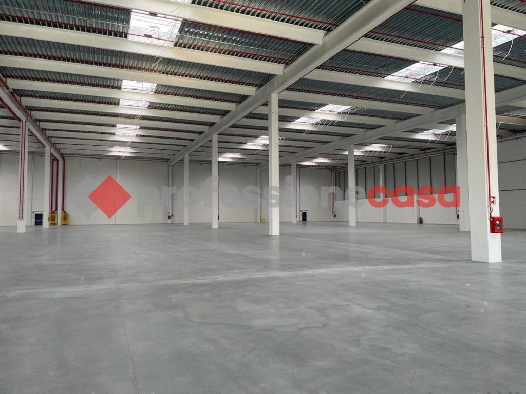 immagine annuncio 7 di 9