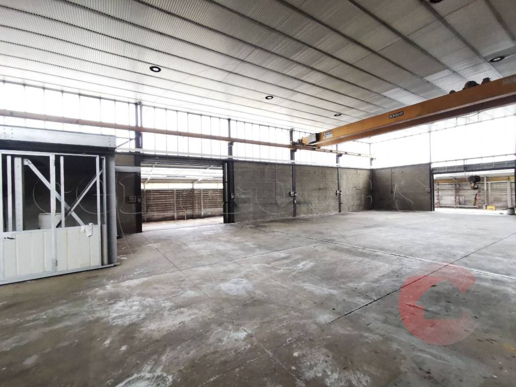 immagine annuncio 9 di 15