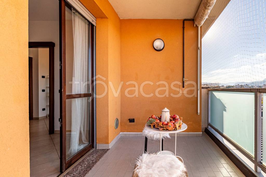 immagine annuncio 11 di 15