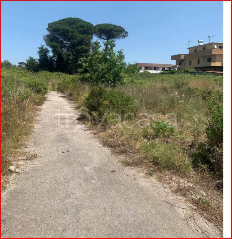 immagine annuncio 3 di 12