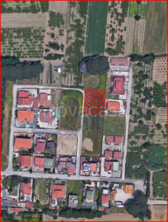 immagine annuncio 11 di 12