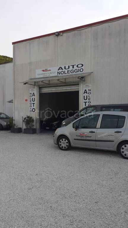 immagine annuncio 6 di 8