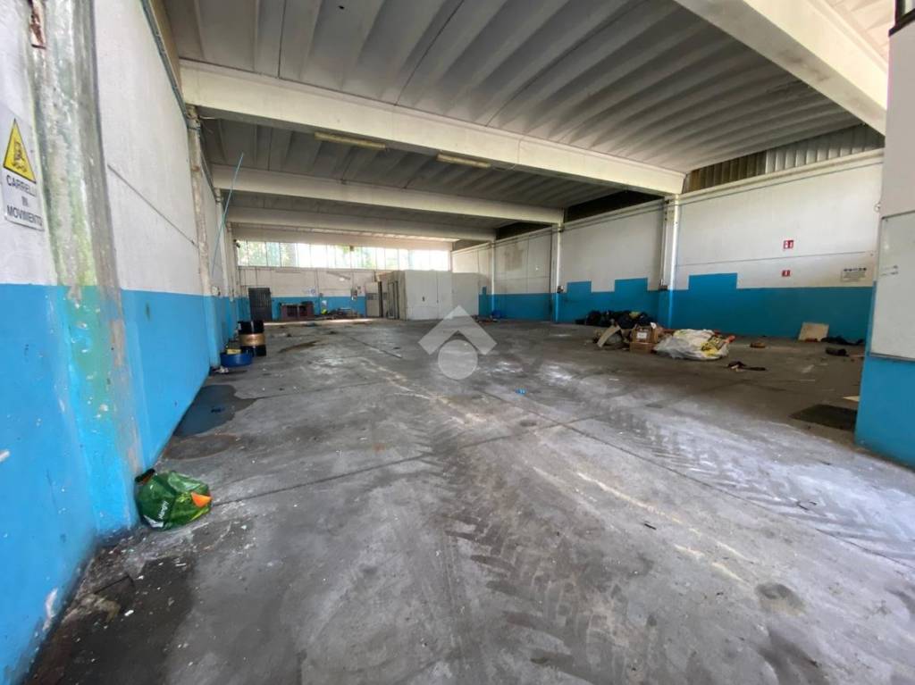 immagine annuncio 5 di 15