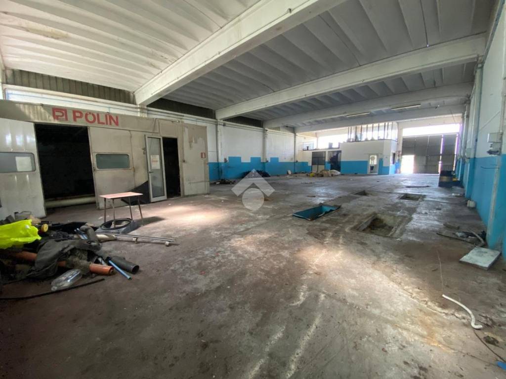 immagine annuncio 11 di 15