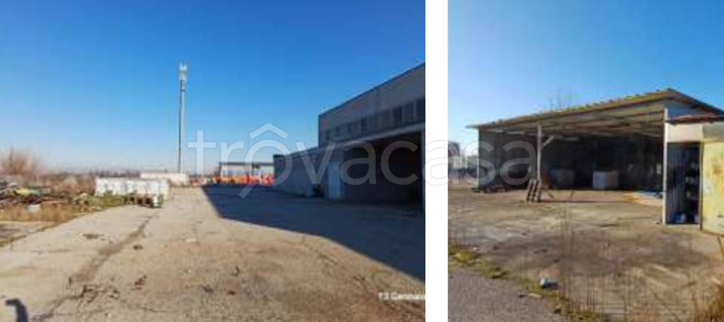 immagine annuncio 2 di 12