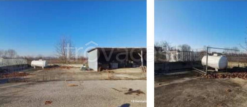 immagine annuncio 3 di 12