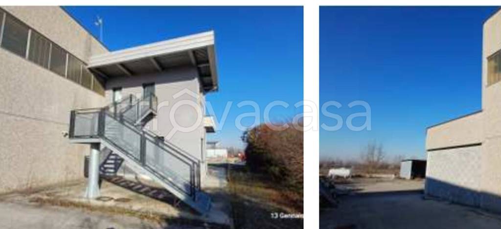 immagine annuncio 4 di 12