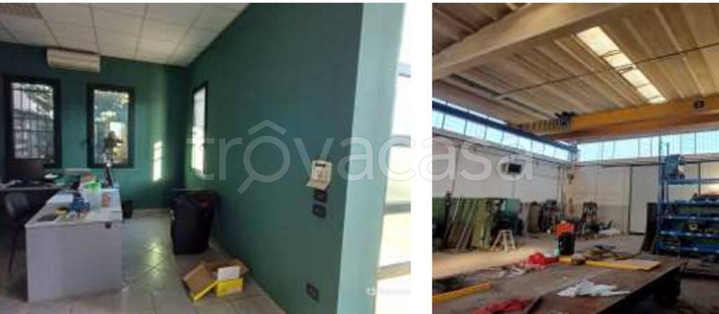 immagine annuncio 8 di 12