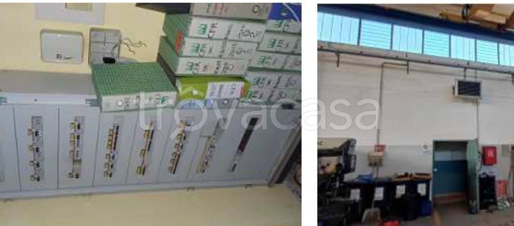 immagine annuncio 9 di 12